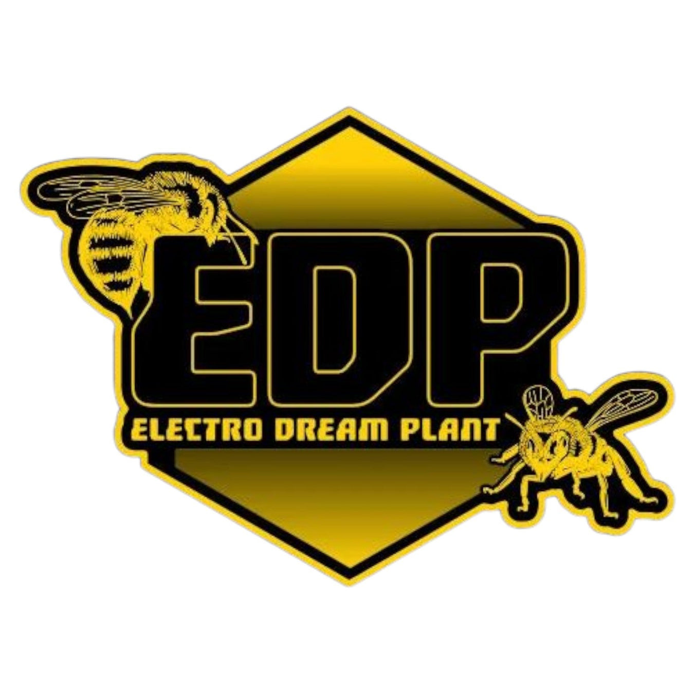 EDP