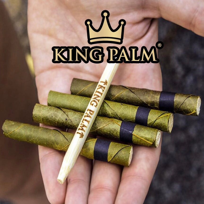 King Palm