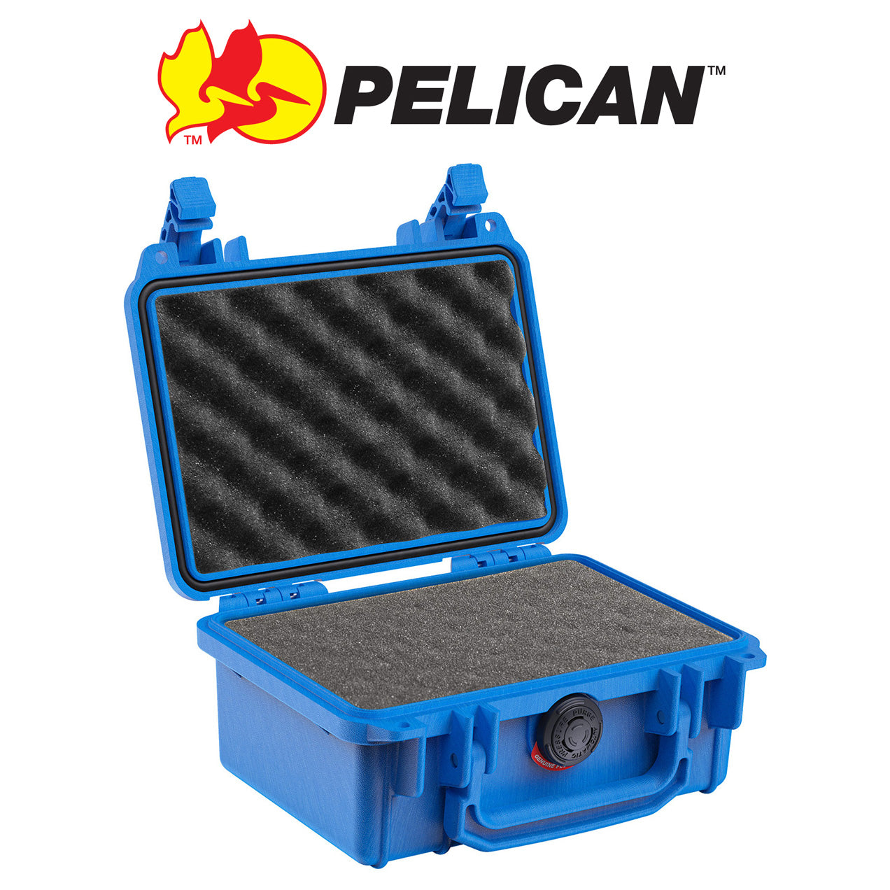 Pelican Protector Cases