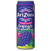 Arizona Safe Cans 23oz